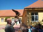 _2200_small.jpg